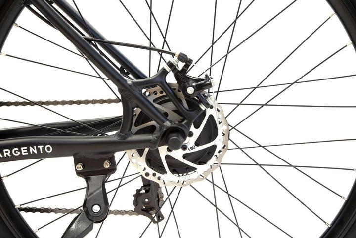 Actual product image Argento E-bike