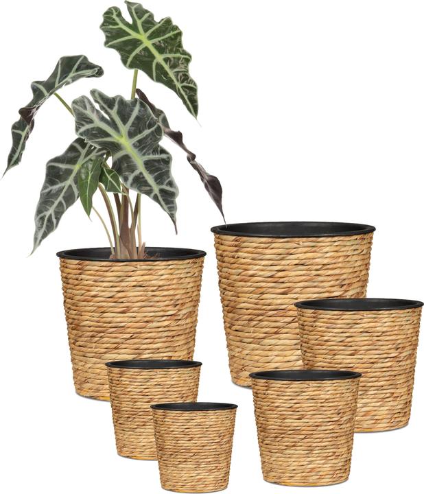 Immagine prodotto Scheurich Giacinto d'acqua 16, fioriera a cesto / fioriera a cesto / vaso a cesto in giacinto d'acqua Colore: (16 cm)