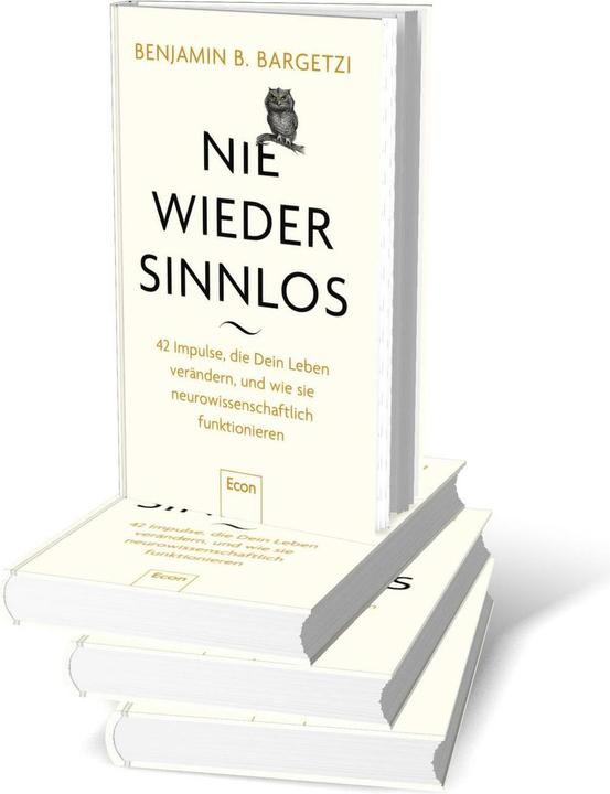 Actual product image Nie wieder sinnlos (German, Benjamin B. Bargetzi, 2025)