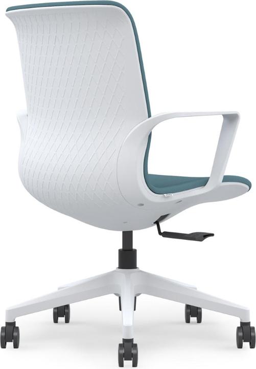 Actual product image ofinto Flex
