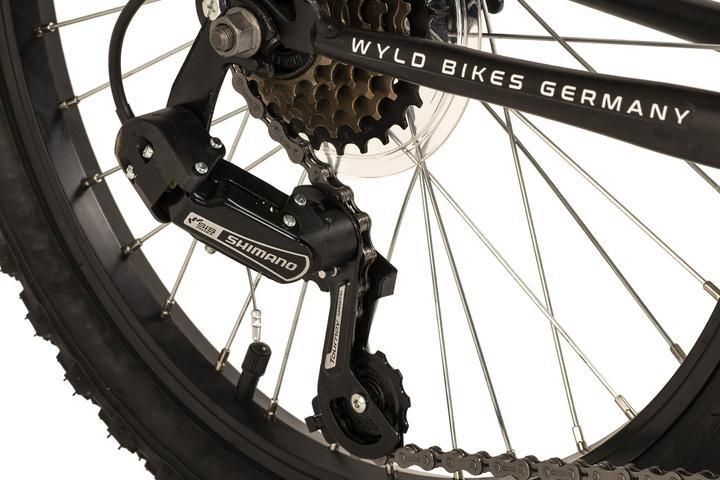 Image du produit Wyld Zodiac 20 (20")