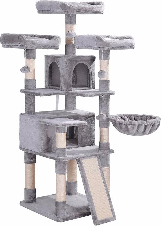 Feandrea Nelson (169 cm, Grey)