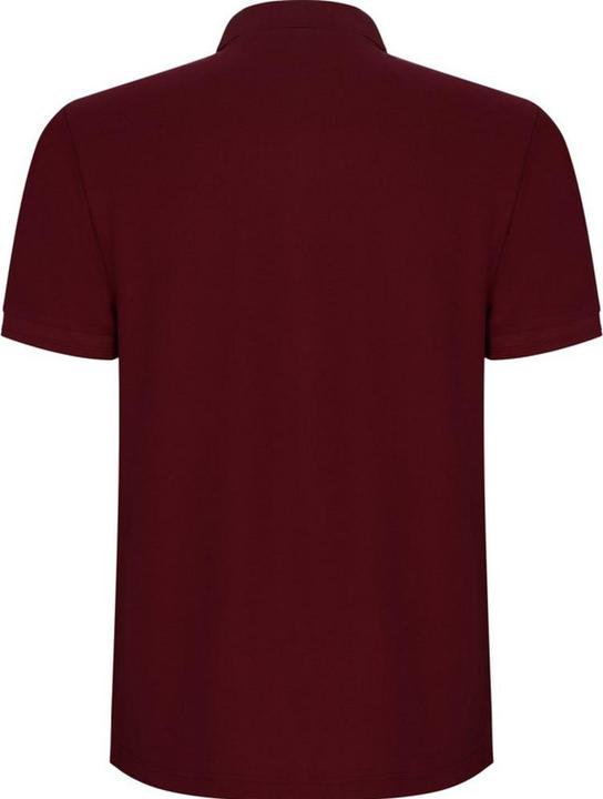 Immagine prodotto Alpinia Pegaso Premium Maglietta Polo Maniche Corte Uomo (S)