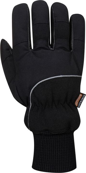 Actual product image Portwest Unisex Adult A751 Apacha Leather Cold Store Gloves (L)