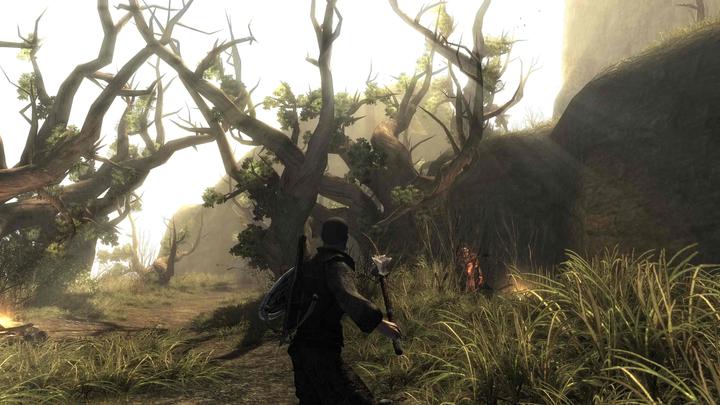 Produktbild THQ Risen (Switch, Switch Lite, Switch OLED, DE)