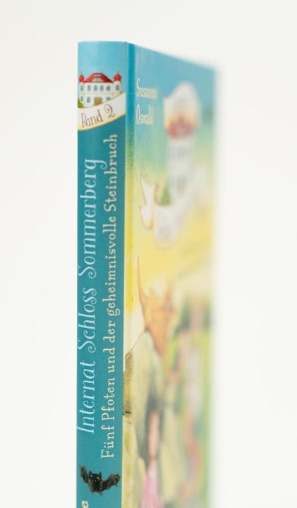 Produktbild Internat Schloss Sommerberg - Fünf Pfoten und der geheimnisvolle Steinbruch (Deutsch, Susanne Oswald, 2023)