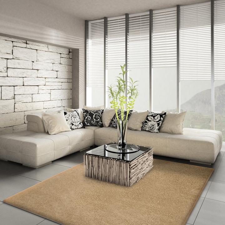 Produktbild Karat Hochflor-Teppich (100 x 150 cm)
