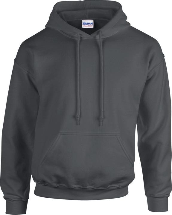 Image du produit Gildan - Sweat à capuche - Homme (3XL)