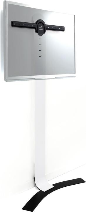 Actual product image Erard Standit 600 (Ground, 75", 45 kg)