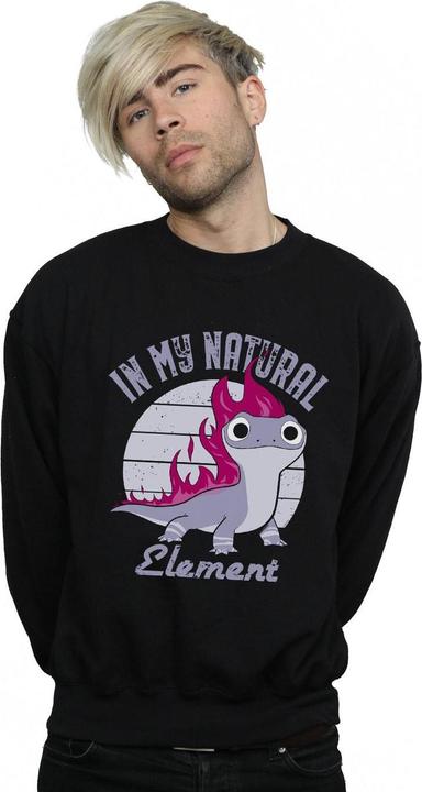 Produktbild Disney Frozen 2 Salamander Bruni Element Sweatshirt (S)