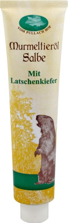 Actual product image Axisis Marmot Oil Ointment, 200 ml Ointment (Body oil, 200 ml)