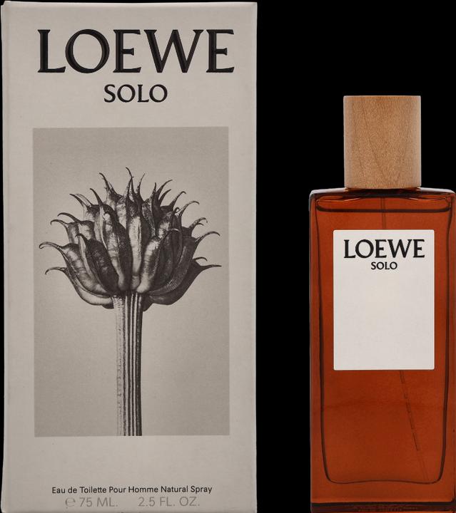 Loewe Solo Pour Homme Edt Spray (Eau de Toilette, 75 ml)