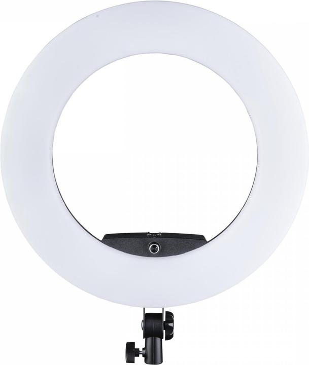 Pro LED ring light Medow 960 Pro Bi Color (Ring light)