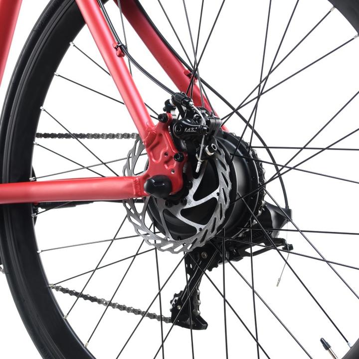 Immagine prodotto Ebfec Skiron (52 cm)