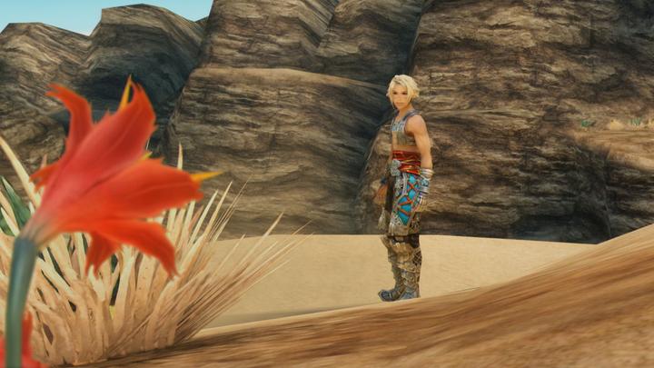 Image du produit Square Enix Final Fantasy XII L'âge du zodiaque (Switch, Switch Lite, Switch OLED, EN)