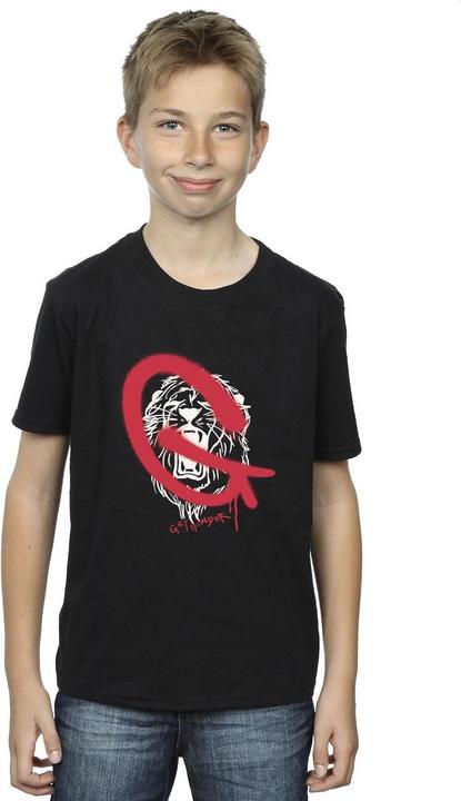 Immagine prodotto Gryffindor Pop Spray Maglietta Ragazzi (116)