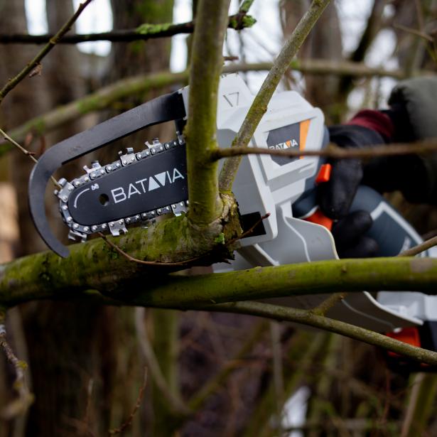 Image du produit Batavia Nexxsaw (Tronçonneuse à batterie)