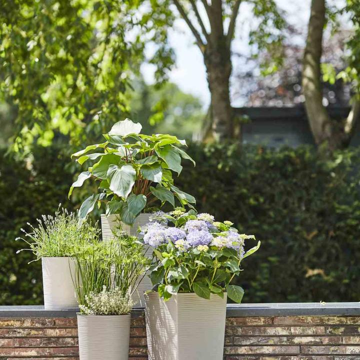 Produktbild Siena Garden ECO Nizza (25 cm)