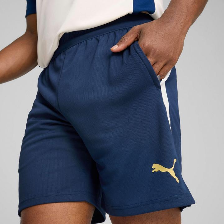 Actual product image Puma FPF Training Shorts (M)