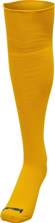 Actual product image hummel Promo Football Sock (46 - 48)