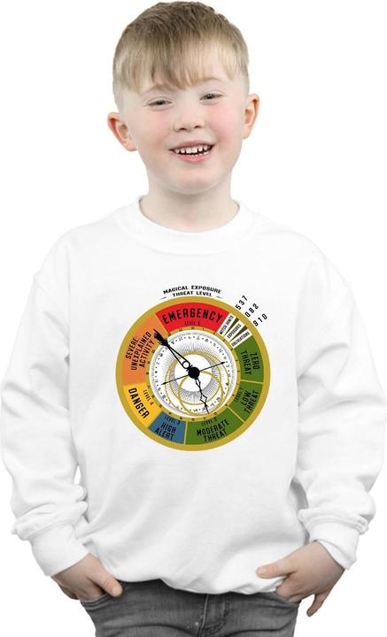 Image du produit Fantastic Beasts - Sweat THREAT LEVEL - Garçon (128)
