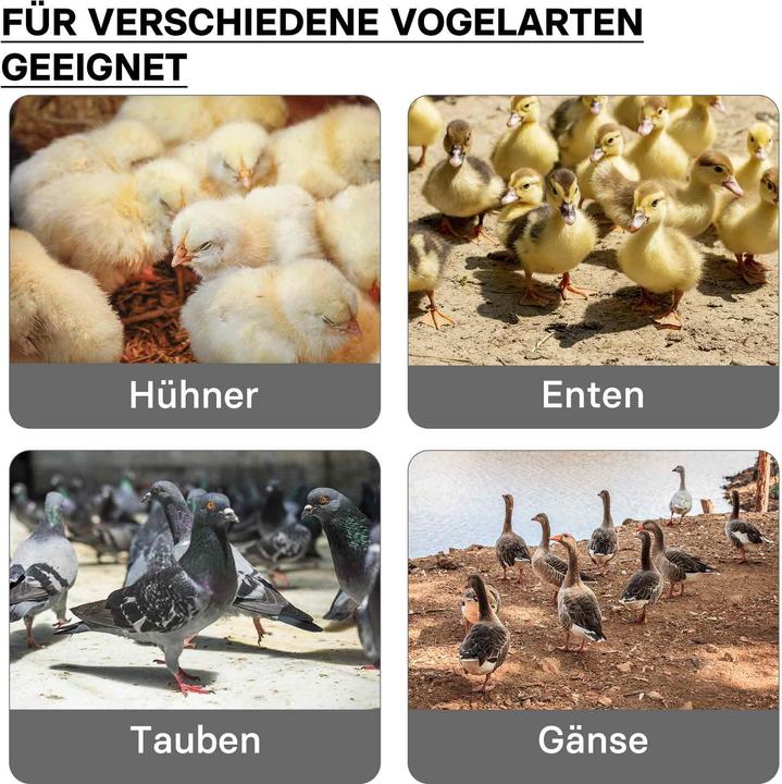 Actual product image Fudajo Küken-Wärmeplatte (30 W)