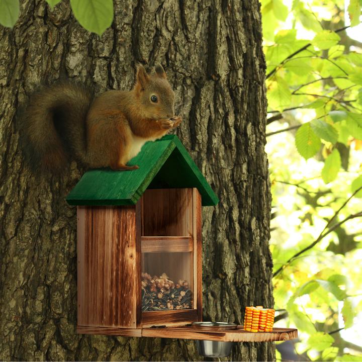 Actual product image Relaxdays Squirrel feeder