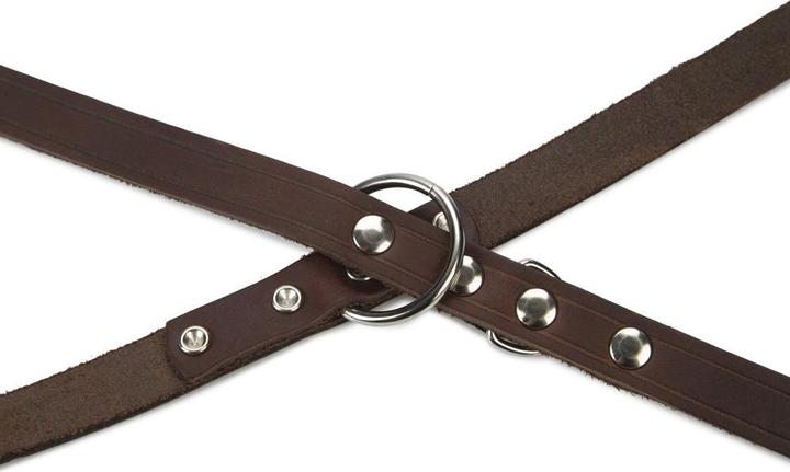 Actual product image Beeztees BZ LED LEADER BROWN 240X18 (Dog, Dog sport)