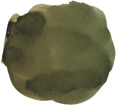 Immagine prodotto Super Cartuccia d'inchiostro Inchiostro impermeabile verde di Dublino 6 (Calamaio)