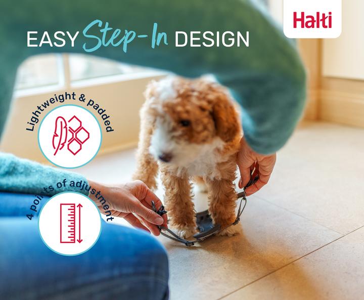 Produktbild Company of Animals Halti Anatomy XXS Welpengeschirr (XXS, Hund)