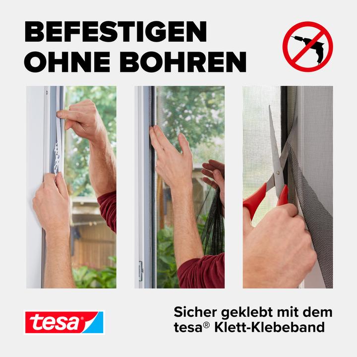 Actual product image tesa Insect screen STANDARD window (130 x 150 cm)