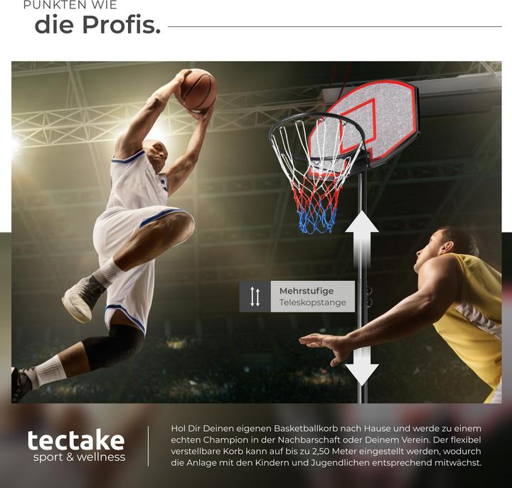 Actual product image tectake Basketball Hoop Harlem