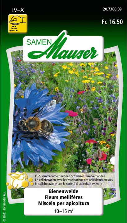 Samen Mauser Bee pasture (Lawn reseed)