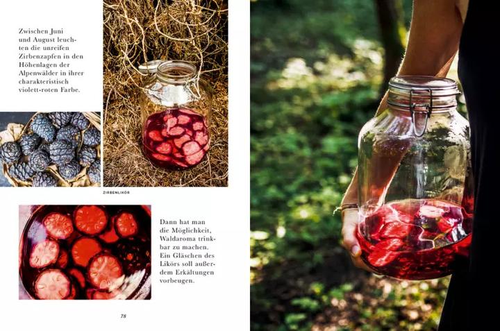 Produktbild Das Wald-Kochbuch (Deutsch, Bernadette Wörndl, Miriam Strobach, Kathrin Gollackner, 2020)