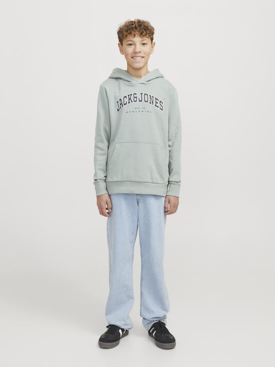 Produktbild Jack & Jones Jjecaleb Varsity Sweat Hood Noos Jnr (152)