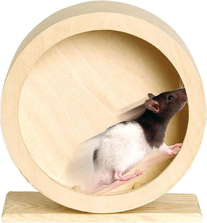 Copacabana Hamster wheel Roundy from