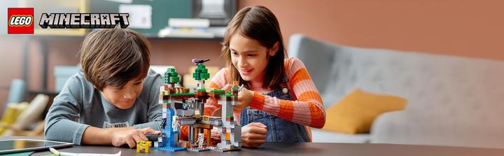 Actual product image LEGO The first adventure (21169, LEGO Minecraft)