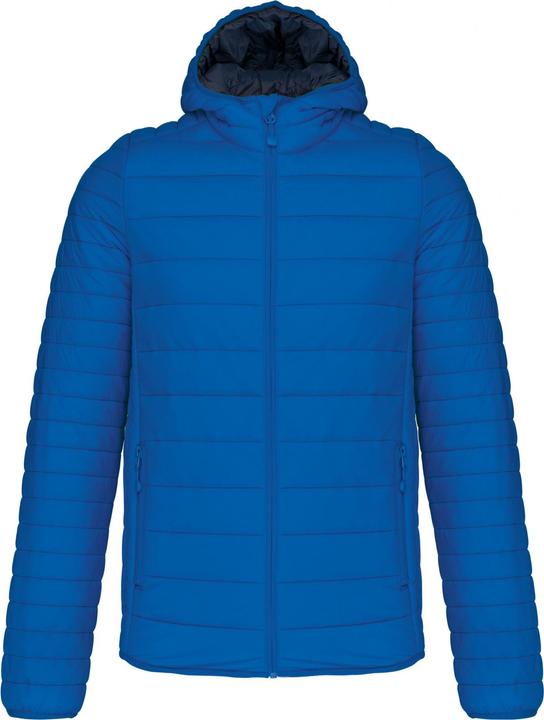 Light royal blue
