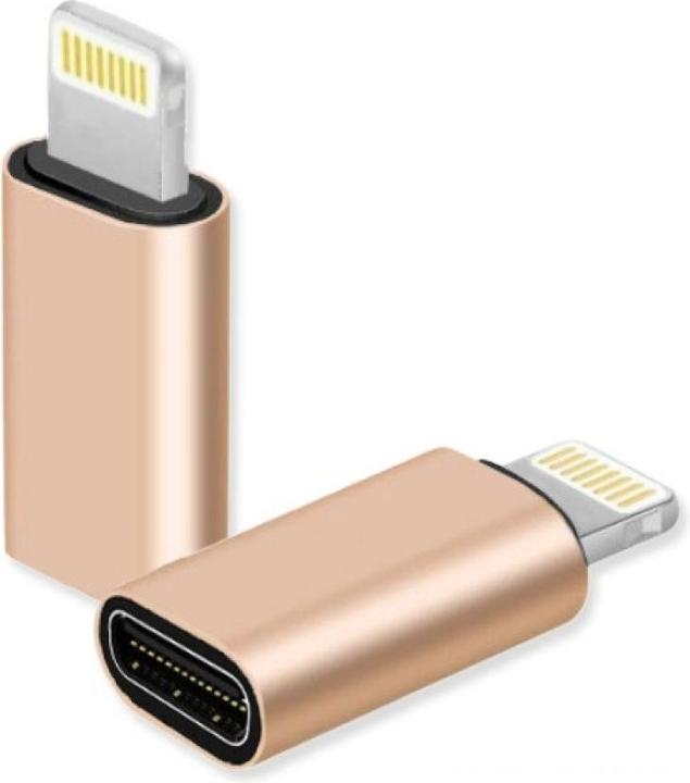 PowerGuard Convertitore da Lightning a mini adattatore USB-C (Lightning, USB tipo C)