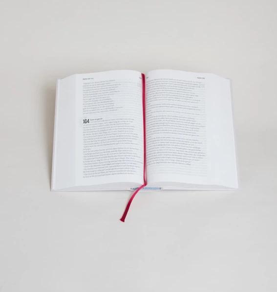 Produktbild Volxbibel - next level (Deutsch, Martin Dreyer, 2023)