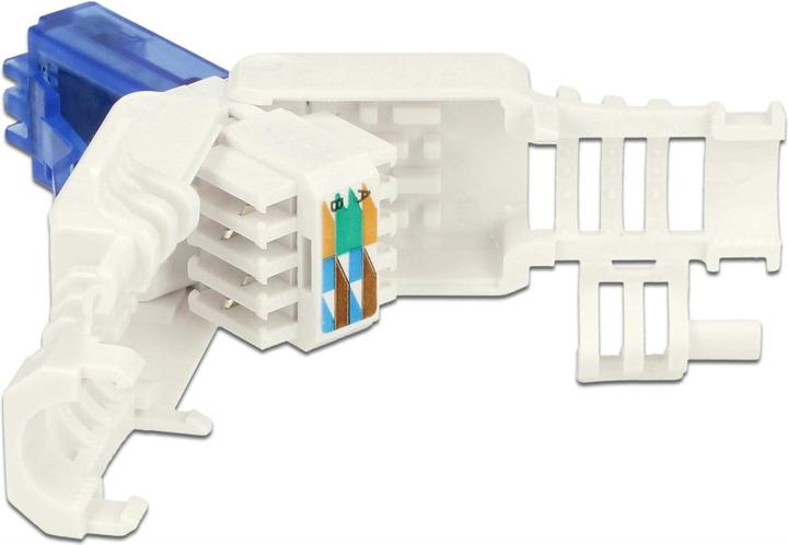 Actual product image Delock RJ45 plug, UTP, Cat.6A, 2 pieces (Network cable plug)