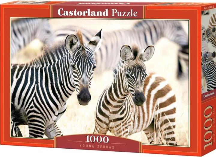 Produktbild Castorland Puzzle 1000 Elemente Reisfelder in Vietnam (1000 Teile)