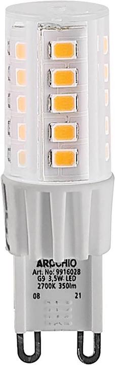 Actual product image Arcchio LED pin base lamp G9 3.5W 2,700K (G9, 3.50 W, 350 lm, 1 x, F)