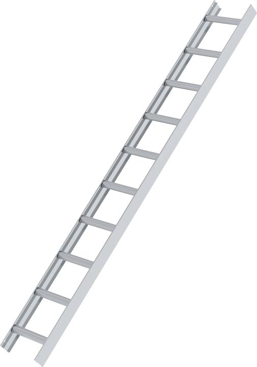 Actual product image Munk Roof ladder aluminium nature 10 rungs (280 cm)