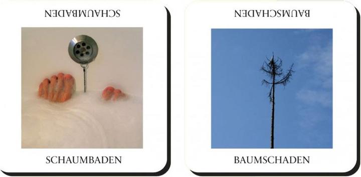 Produktbild Gemischtes Doppel (Deutsch)