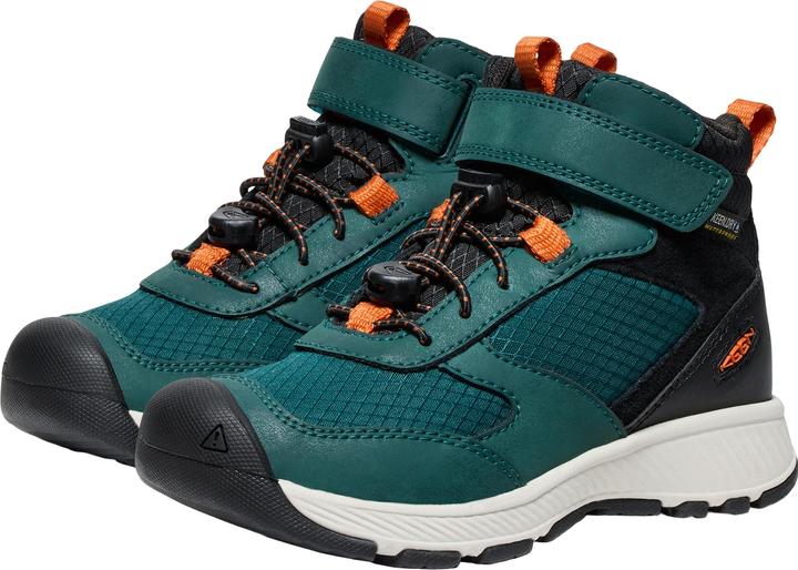 Immagine prodotto Keen C Skua Mid WP (31)