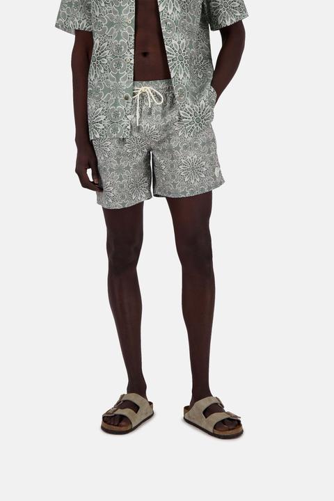 Produktbild Colours & Sons Badehose Swimshorts-Printed (S)
