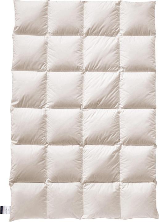 Produktbild Billerbeck Daunendecke E23 Inga Kassette II warm, Füllung: 90% Daunen, 10% Federn (768 g, 135x200 cm)