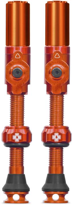 Image du produit Muc-Off Muc Off Big Bore Hybrid Tubeless Kleppen Zilver 40 mm