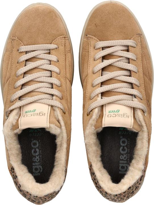 Image du produit Igi&co Sneaker (36)